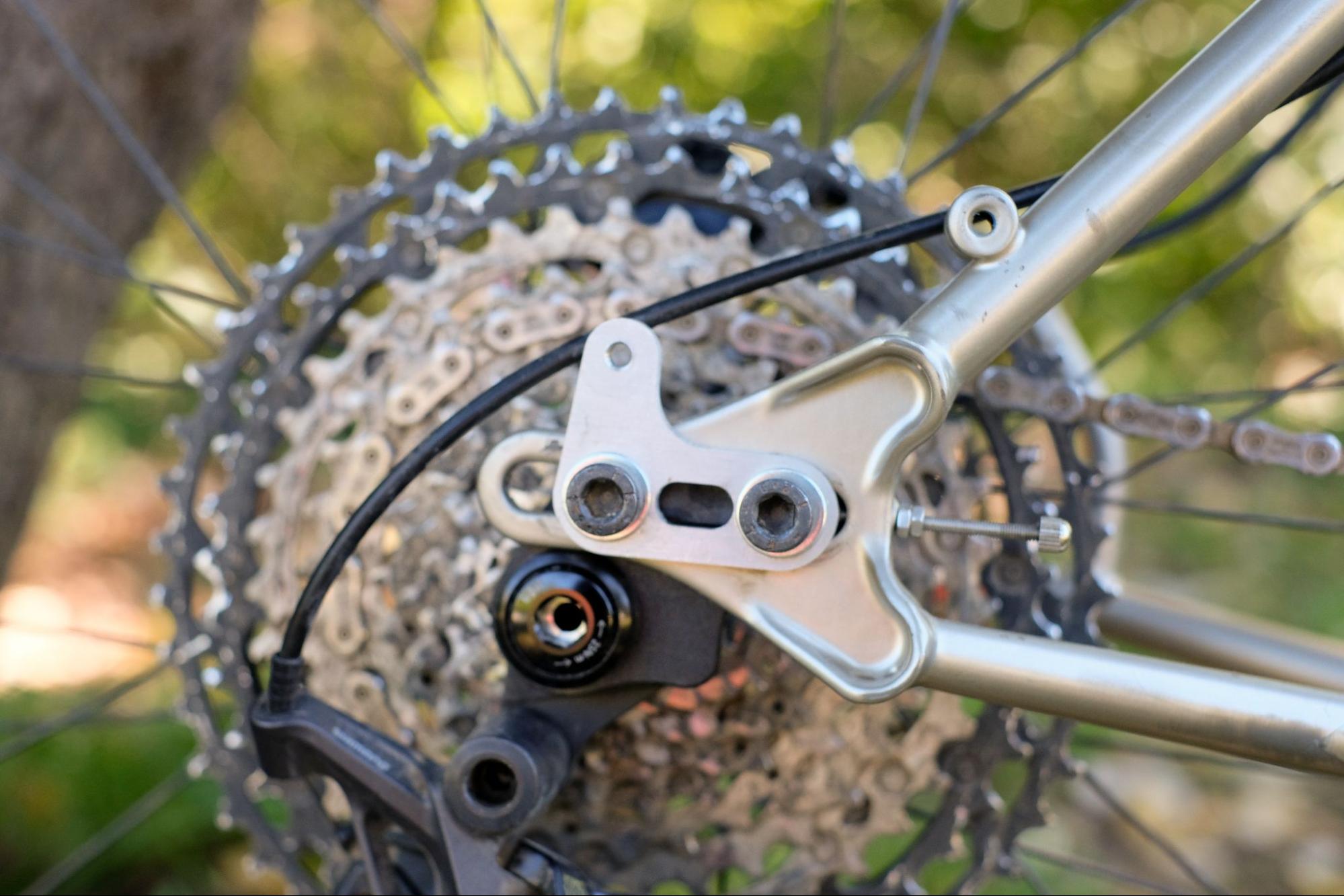 Sliding eyelets for racks and fenders. Production bikes won't have seatstay eyelets or the UDH hanger.